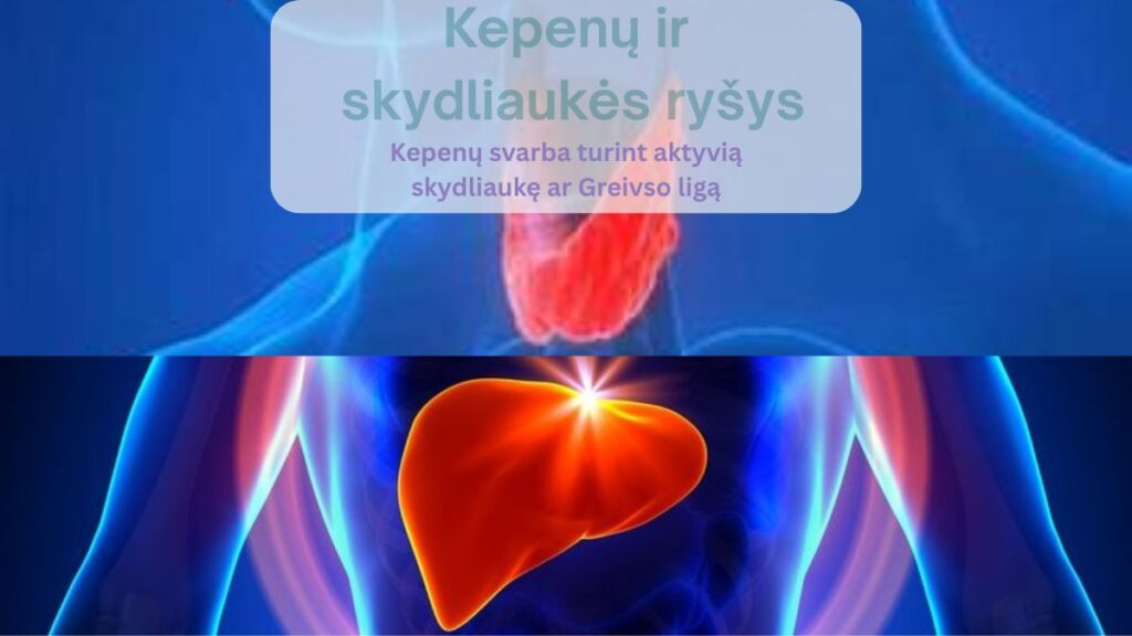 Kepenų ir skydliaukės ryšys