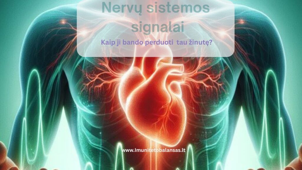 Nervų sistemos signalai