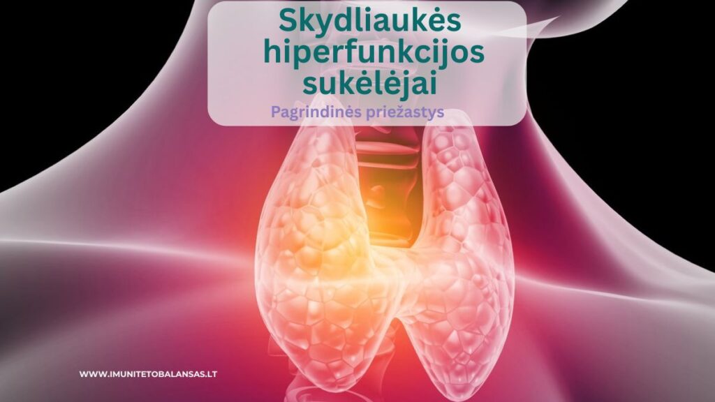Skydliaukės hiperfunkcijos sukėlėjai