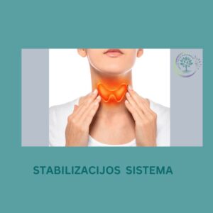 Pradinis stabilizacijos planas