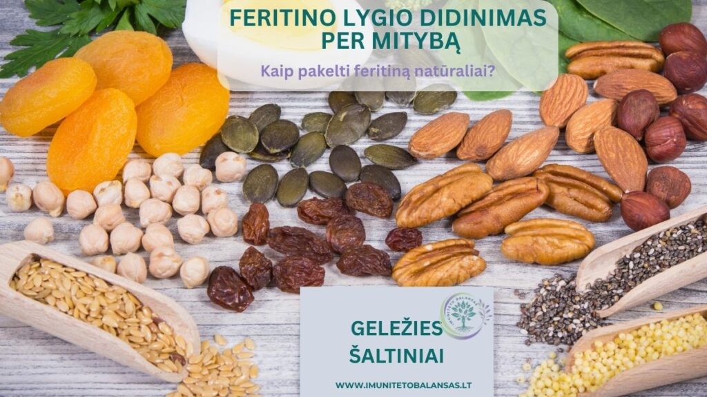 Feritino lygio didinimas per mitybą – geležies turintys produktai plaukų slinkimui mažinti