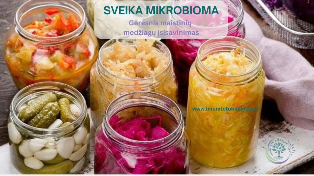 Moteris virtuvėje ruošia žarnynui palankų maistą iš daržovių ir natūralių produktų, simbolizuojančių sveiką mikrobiomą ir geresnį maistinių medžiagų įsisavinimą.