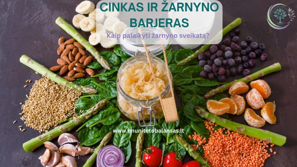 Moteris laiko rankas ant pilvo – žarnyno sveikatos, mikrobiomos ir cinko svarbos simbolinis paveikslėlis.